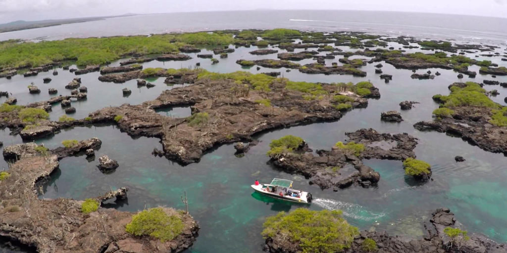 Galapagos Islands Vacations