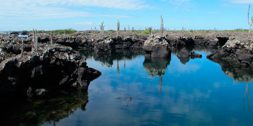 Trip to Galapagos