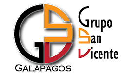 Grupo San Vicente Logo